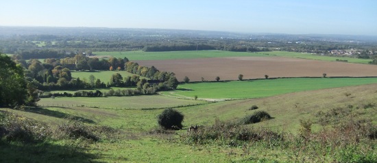 A field at
                Thurnham